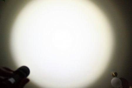   Liquid Image 343 5.5W - 300 lumens.