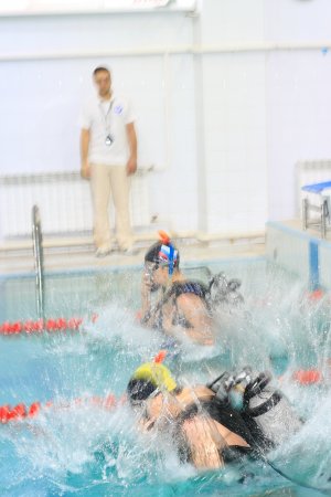   2013  