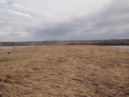  2015