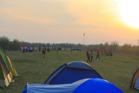  2015