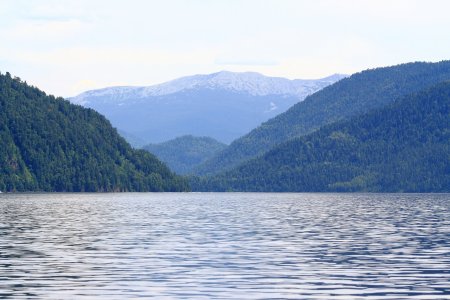 . 2015