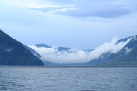 . 2015